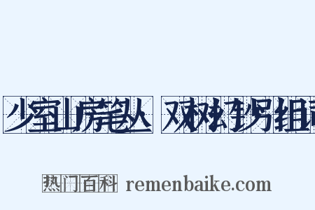 少室山房笔丛·双树幻钞引组词是什么意思的图片